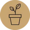 Plant_icon